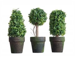 CHẬU CÂY TRANG TRÍ - 3 KIỂU