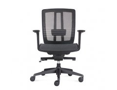 Oasis Chair D00216DMF042