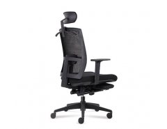 Taylor Chair D00227DH ( black frame)
