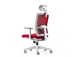 Taylor Chair D00227H ( grey white frame )