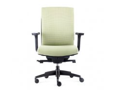 Arti Chair D00306M
